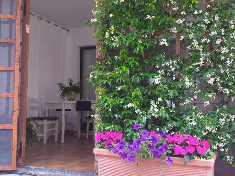 Alla Ghigliotta Viverone Kültér fotó